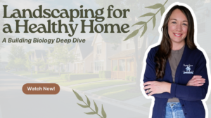 Read more about the article The Science of Landscaping for a Healthy Home and Better Air Quality