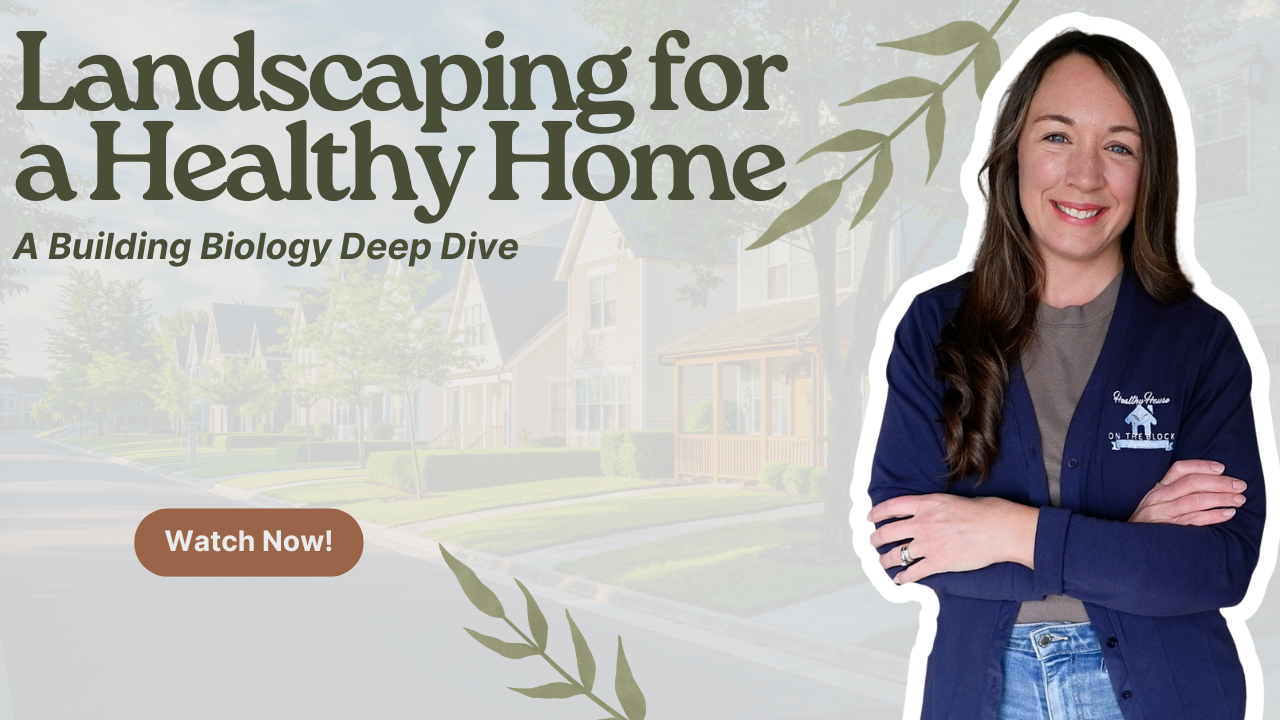 Read more about the article The Science of Landscaping for a Healthy Home and Better Air Quality