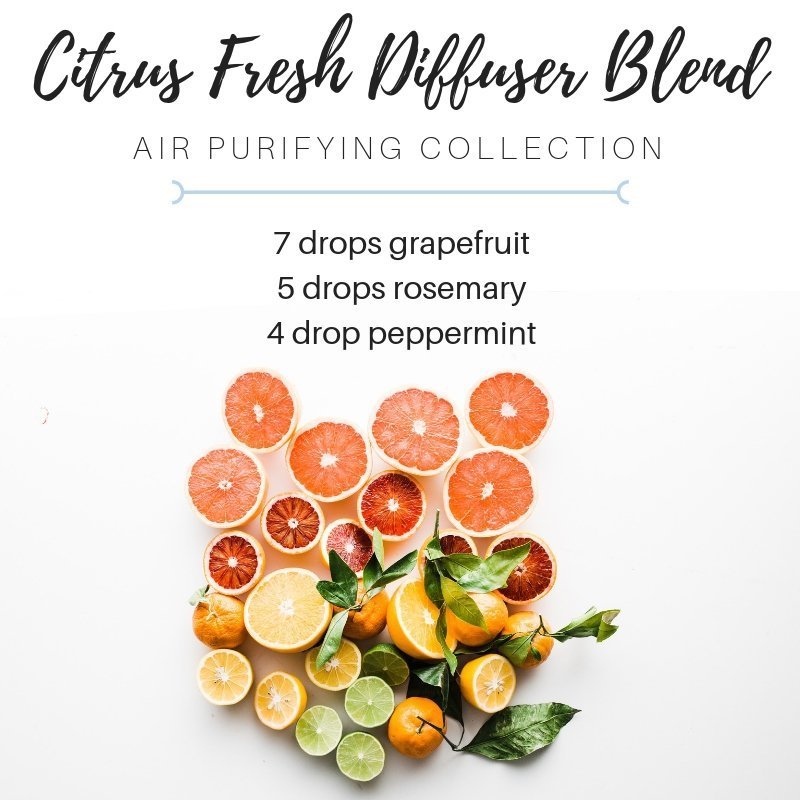 citrus fresh diffuser blend with grapefruit essential oil, rosemary essential oil, peppermint essential oil