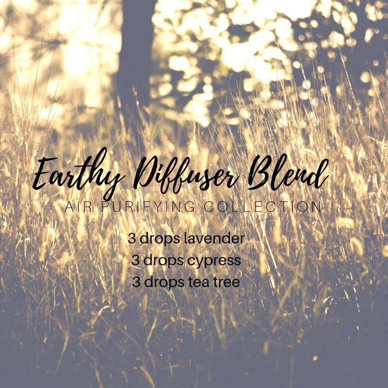 air purifying diffuser blend with lavender essential oil, cypress essential oil, tea tree essential oil