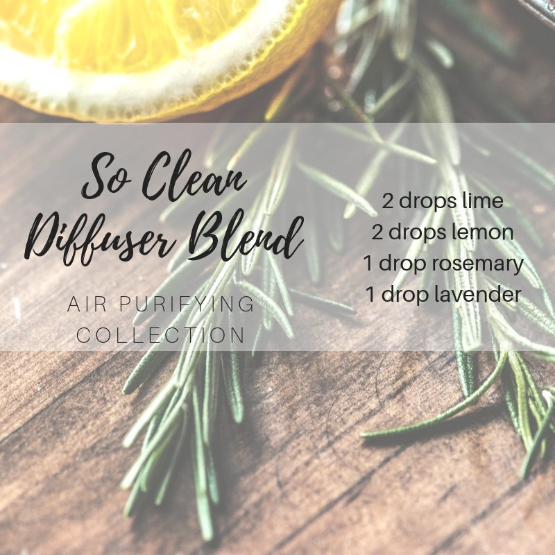air purifying diffuser blend with lime essential oil, dlemon essential oil, rosemary essential oil, lavender essential oil
