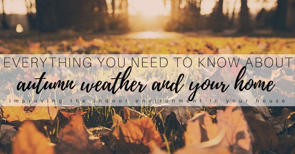 Read more about the article How to use Fall Weather to Improve the Health of Your Home