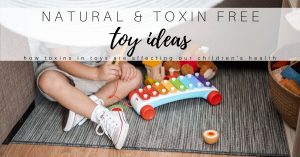 Read more about the article Natural Toy & Gift Ideas for Toxin Free Living