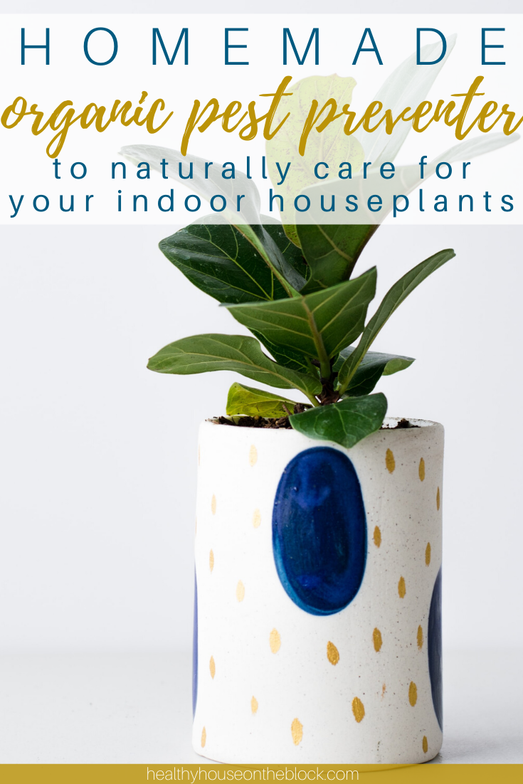 homemade organic pest preventer and homemade fertilizer for indoor plants to help naturally care for indoor house plants without toxins homemade organic pest preventer and homemade fertilizer for indoor plants to help naturally care for indoor house plants without toxins