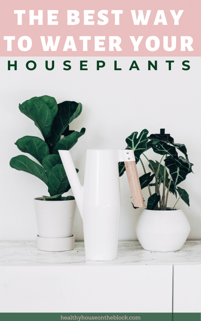 the best way to water your house plants plus homemade fertilizer for indoor plants and other organic care ideas the best way to water your house plants plus homemade fertilizer for indoor plants and other organic care ideas