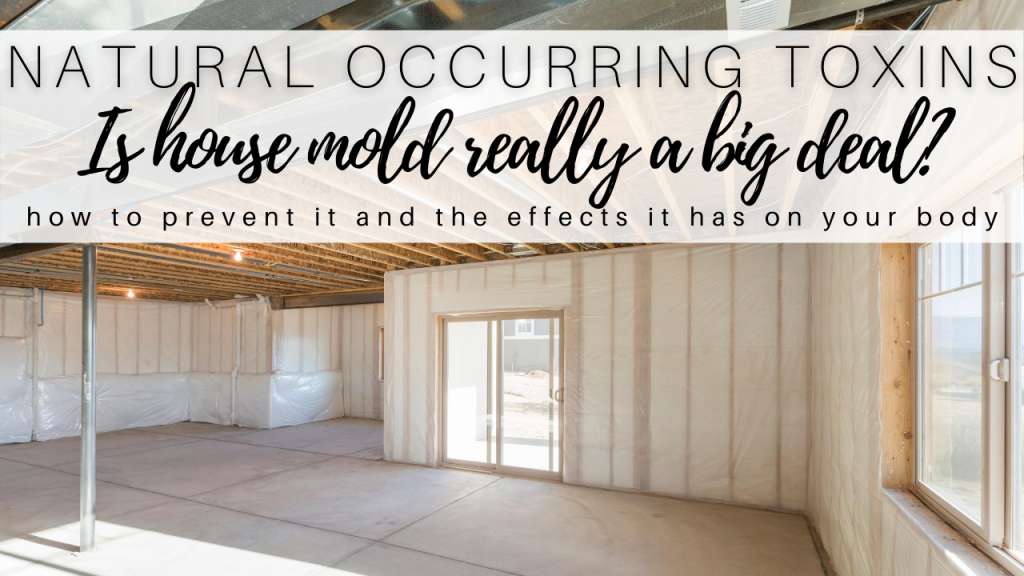 is house mold really a big deal