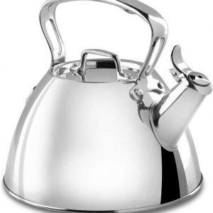 stainless steel tea kettle toxin free