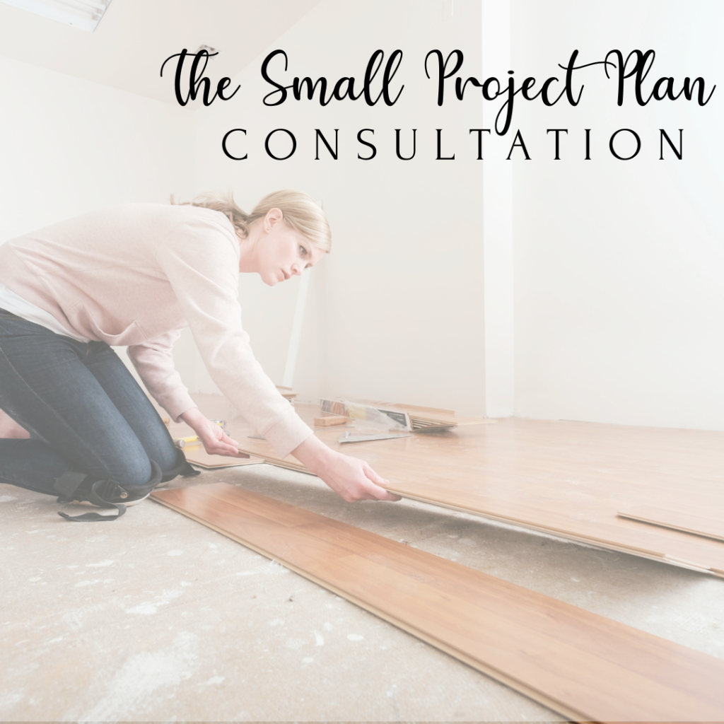 the small project plan consultation