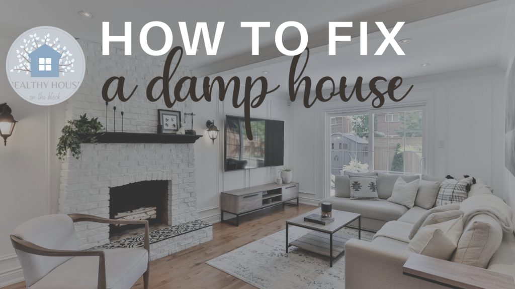 Read more about the article How to Fix a Damp House