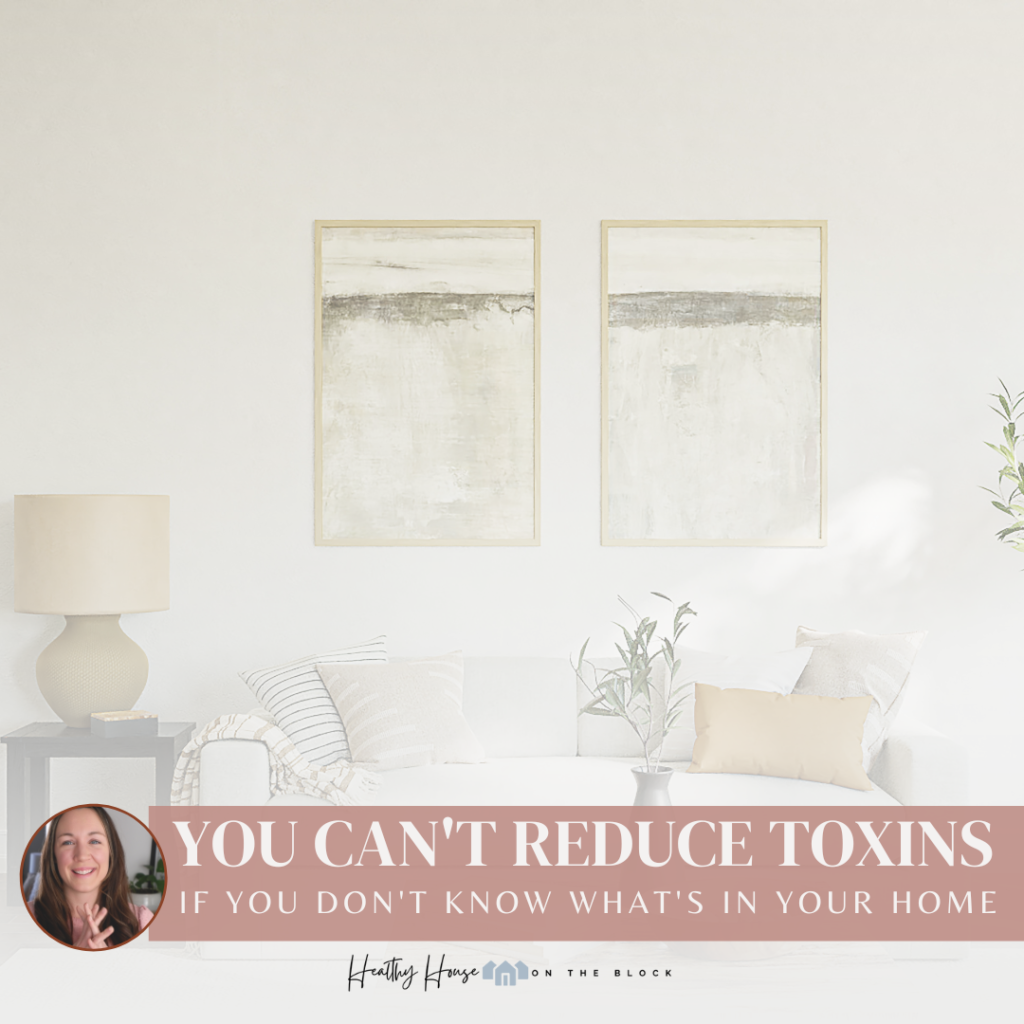 Read more about the article <strong>Assess Your Home for Toxins with Indoor Air Quality Monitor and Tests</strong>