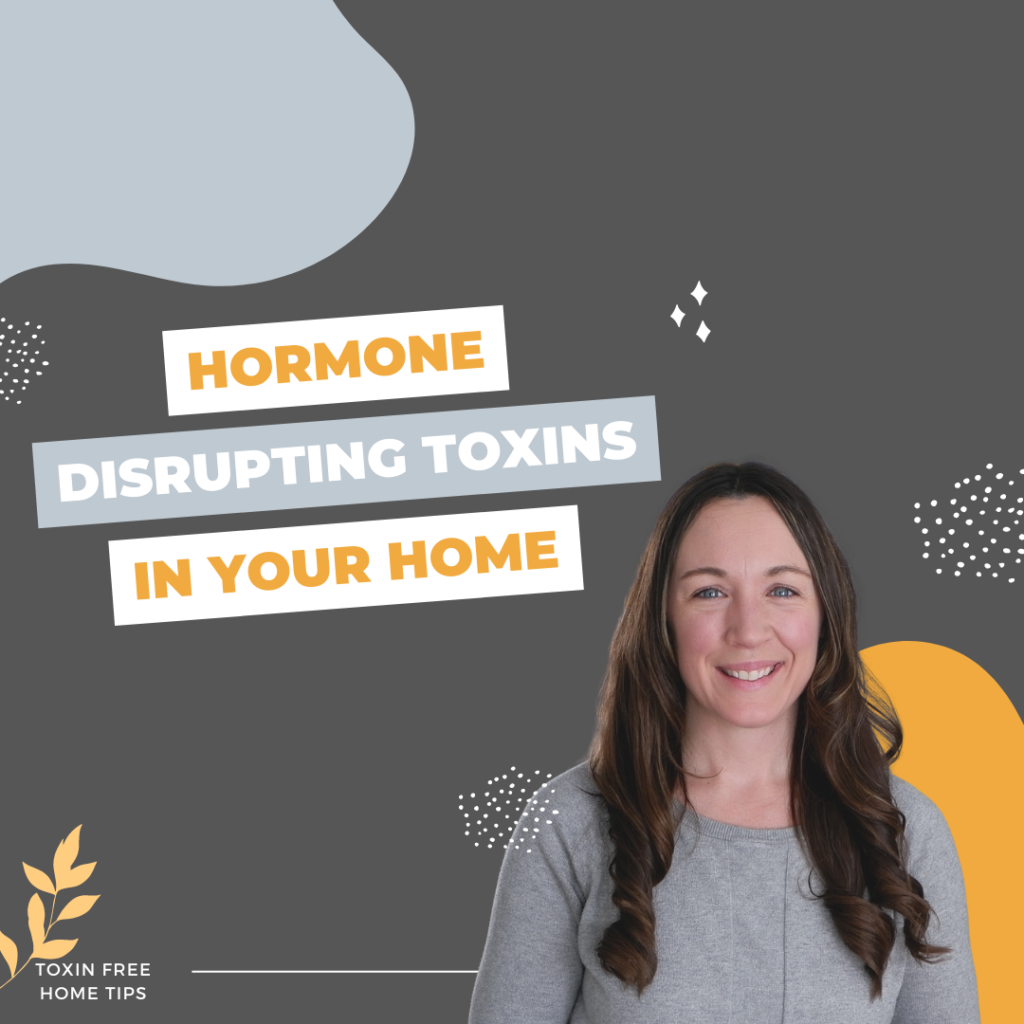 Read more about the article Endocrine System Function and Your Healthy House