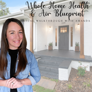 Consultation: Whole Home Health & Air Blueprint