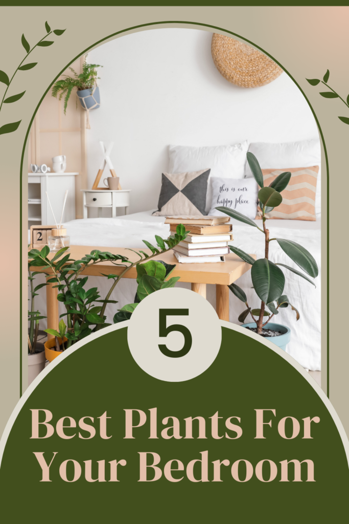 house plants for your bedroom