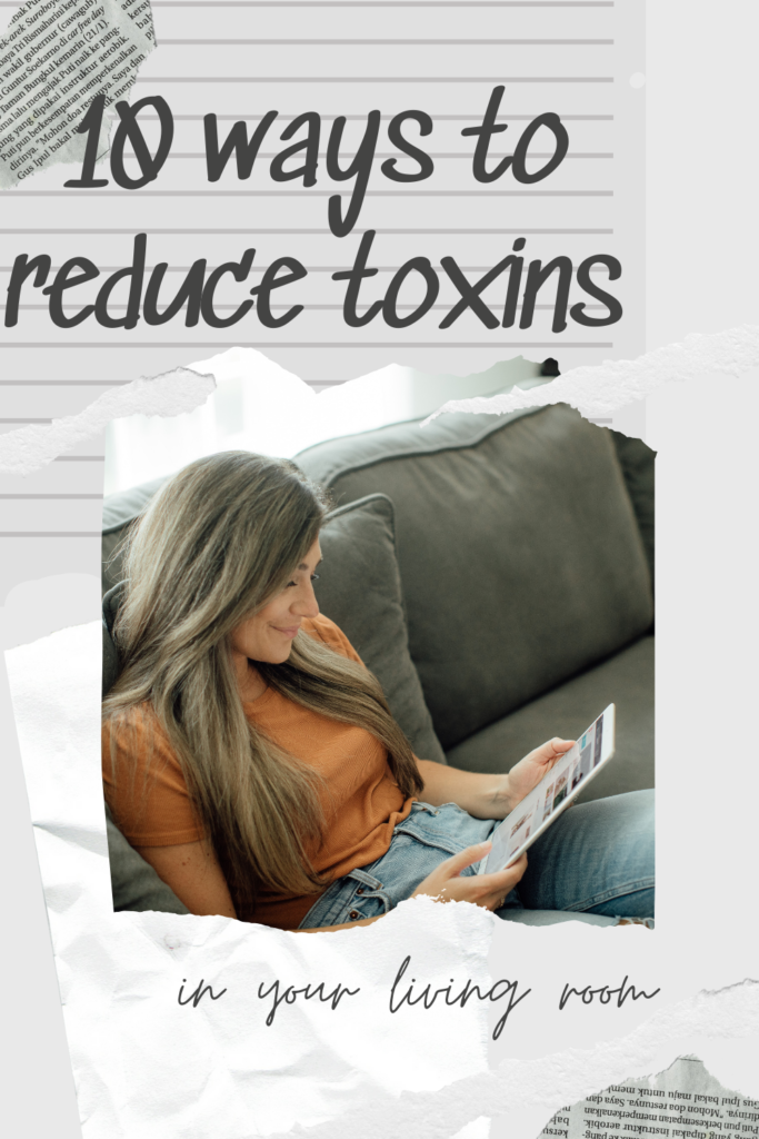 how to reduce toxins with super simple living room ideas