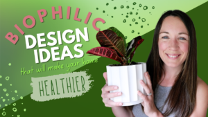 Read more about the article Biophilic Design Ideas that Will Make Your Home Healthier