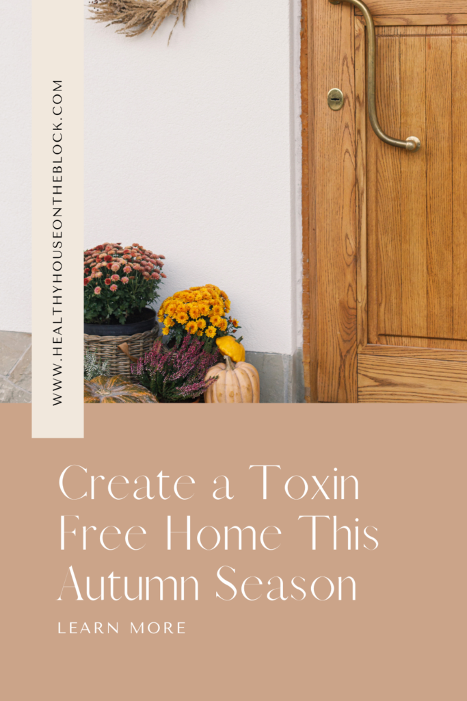 fall ideas to detox your home