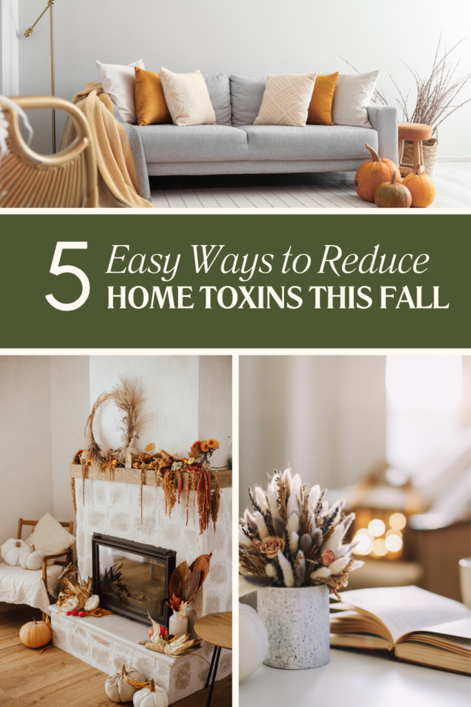 the best fall ideas to reduce toxins in your home