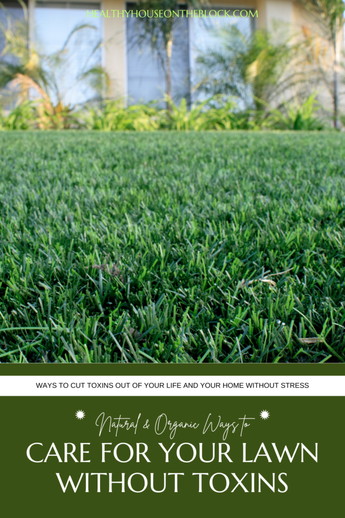 Natural Lawn Maintenance Made Easy: Tips from the Pros