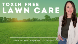 Read more about the article Natural Lawn Maintenance Made Easy: Tips from the Pros