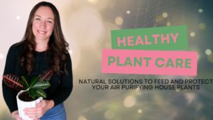 Read more about the article How to Care for an Air Purifying House Plant with Homemade Fertilizer and Natural Pest Control