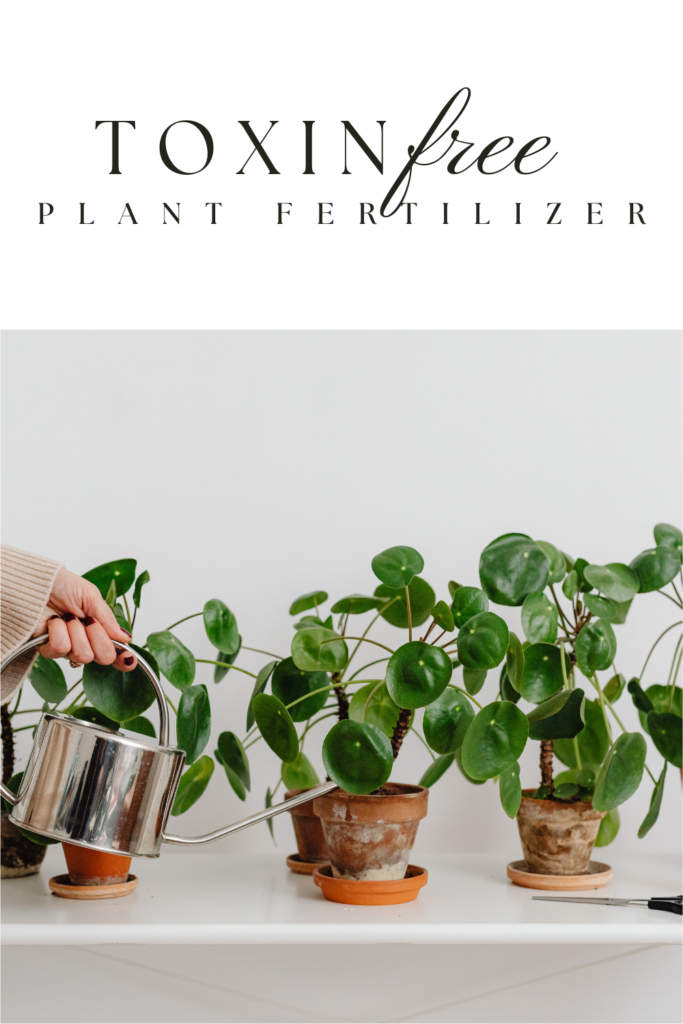 homemade fertilizer for air purifying house plants