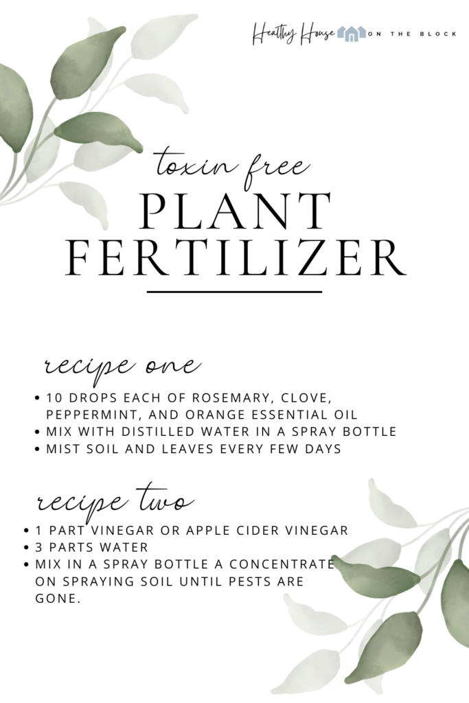 homemade fertilizer recipes for air purifying house plants