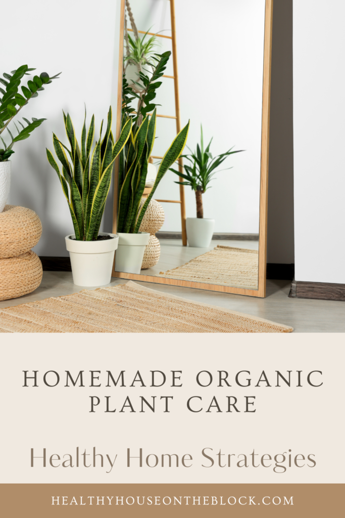 homemade fertilizer for air purifying house plants