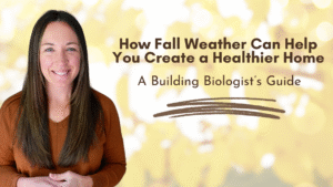 Read more about the article How Fall Weather Improves Your Home’s Fall Indoor Air Quality