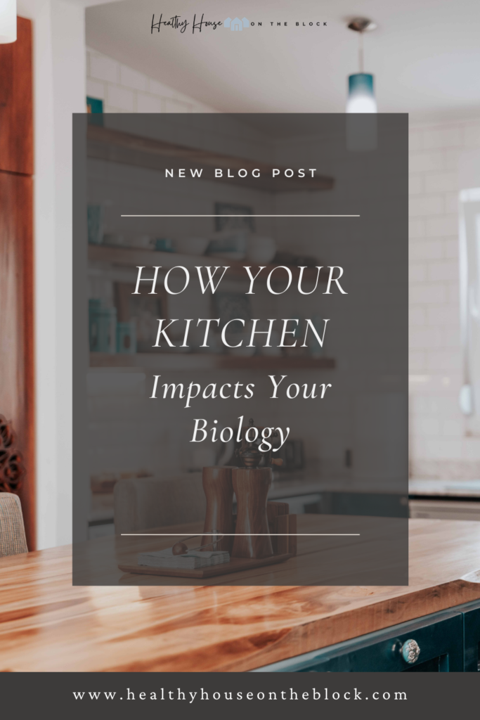 healthy kitchen mold prevention