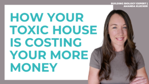 Read more about the article How a Healthy Home Saves You Money: Protecting Your Wellness and Your Wealth