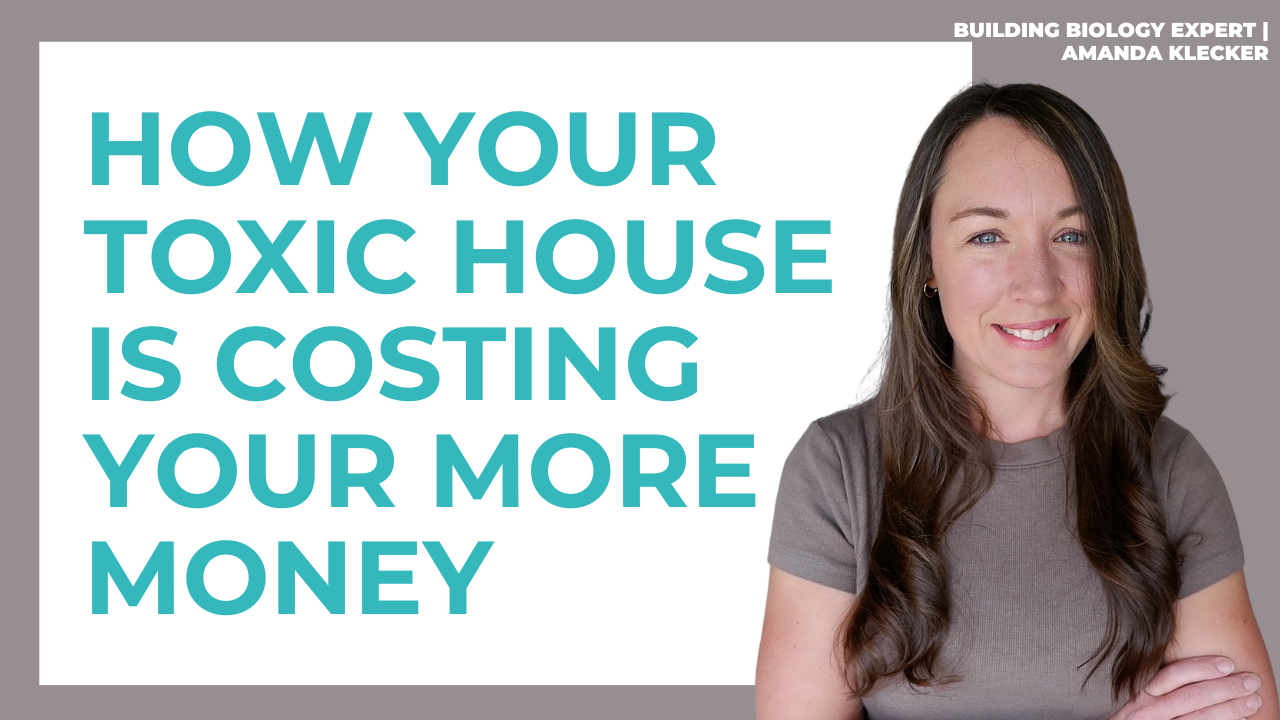 Read more about the article How a Healthy Home Saves You Money: Protecting Your Wellness and Your Wealth