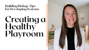 Read more about the article Playroom Ideas: Creating a Low-Toxin Sanctuary for Healthy Play