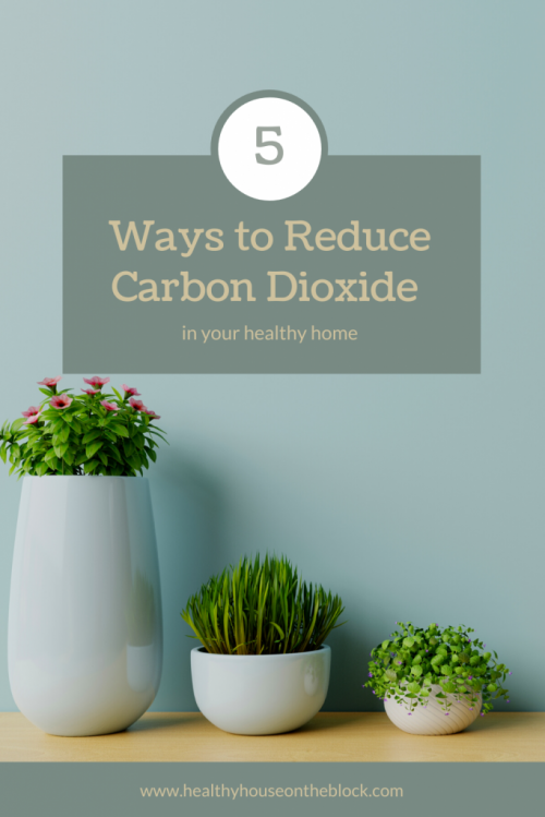 5 ways to reduce carbon dioxide at home and improve your health