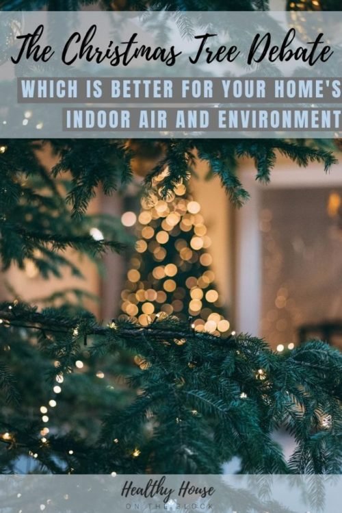 best christmas tree for indoor air quality