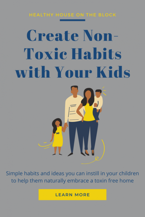 creating a toxin free healthy home with your kids help