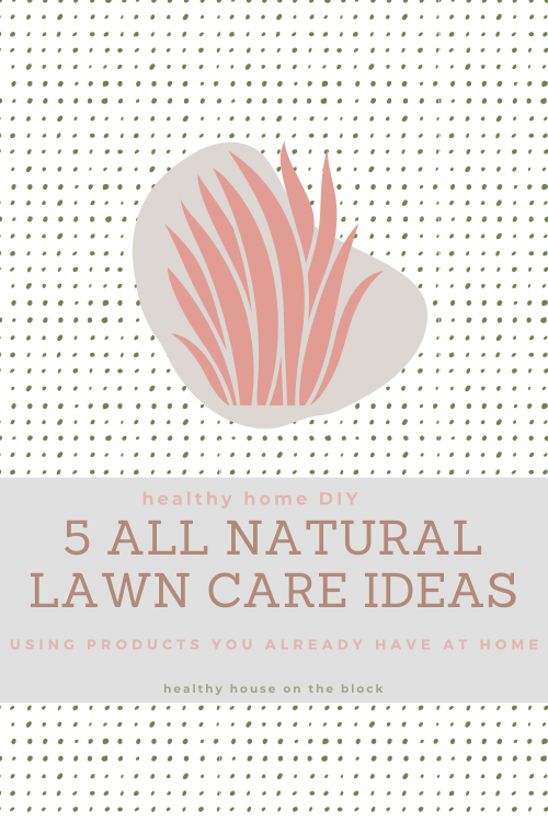 diy your lawn care with these 5 products you already have at home to promote a beautiful lawn without the use of pesticides