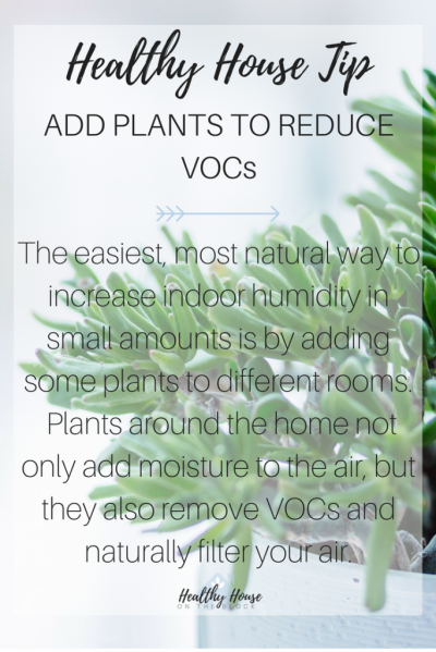 use plants to reduce VOCs at home