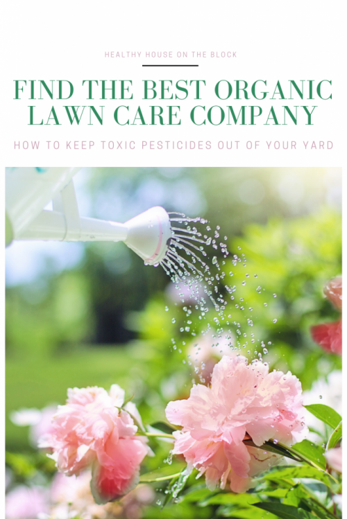how to find the best organic lawn care company to keep pesticides and toxins out of your yard