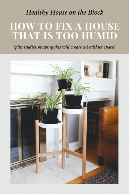 how to reduce the humidity levels at home to improve the health of your indoor spaces