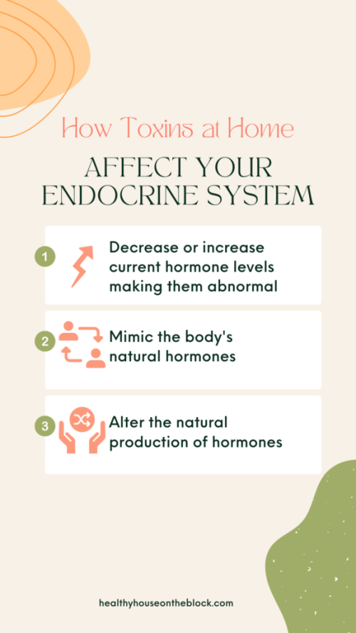 how to reduce toxins at home that affect your endocrine system