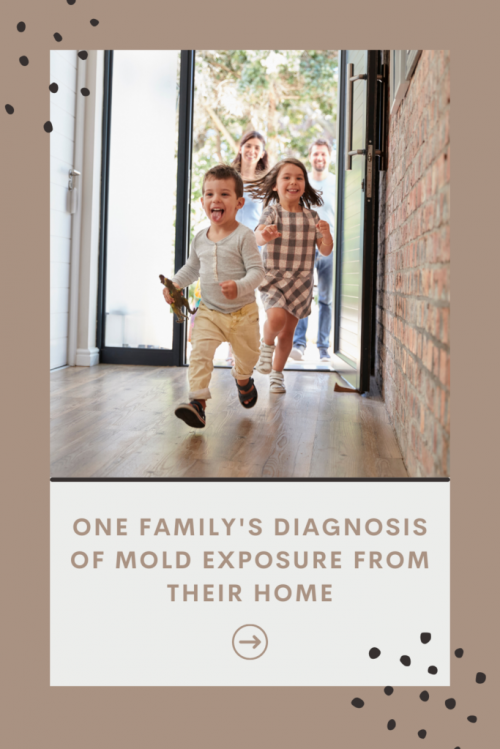 mold exposure and the diagnosis that followed and how you can avoid it in your own home