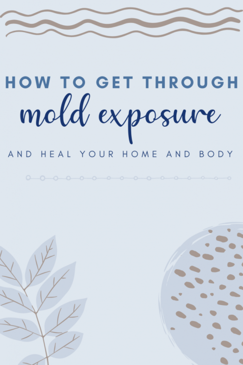 one family's story of getting through mold exposure at home and how they began to heal their bodies