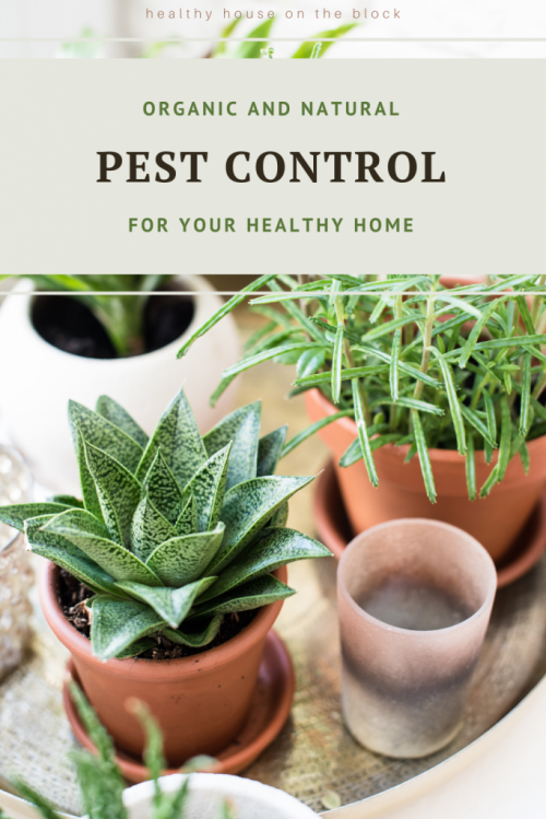 organic pesticide options and natural pesticide practices for a healthy home