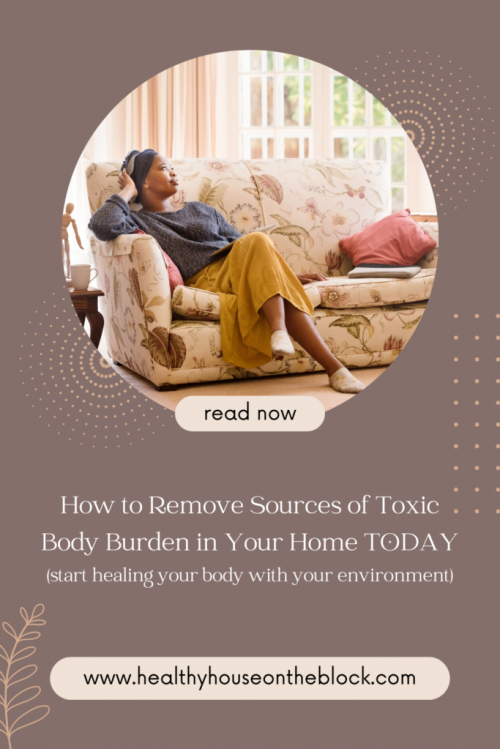 the big sources of home toxins that contribute to body burden and how to get rid of them in your own home