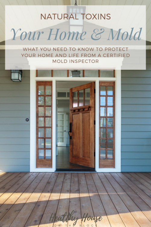 what you need to know about your home and how mold grows and takes hold from a certified mold inspector